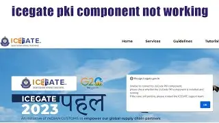 PKI component Error on ICEGATE , icegate pki component not working FIXED
