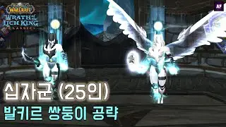 [리치왕의분노] 십자군25인하드 | 발키르 쌍둥이  | 네임드 공략
