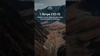 1 Петра 1:22-25 современный перевод Библии #shorts