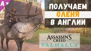 How to get a deer in Assassin's Creed Valhalla