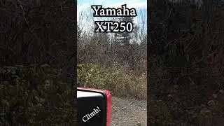 XT250 Short Climb #xt250