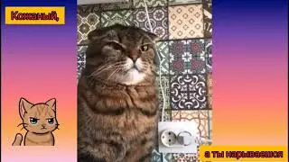 Кожаный, а ты нарывается💥😠