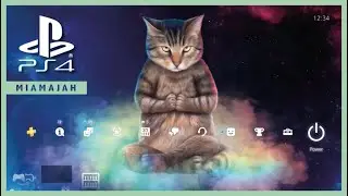 Zen Cat - HiQ Ace | PS4 (Dynamic Theme) HD