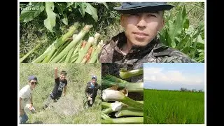 КЫРГЫЗЫСТАН ЖАРАТЫЛЫШЫ 🏞️🇰🇬🇰🇬🇰🇬