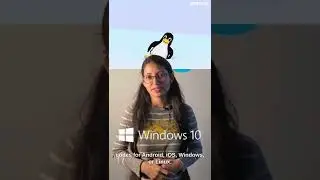 What is flutter? and why you should consider it.