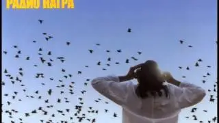 Иван Купала - Пчелы