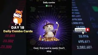 DAY 24! HAMSTER KOMBAT TODAY COMBO CARDS! HAMSTER KOMBAT DAILY COMBO JUNE 15
