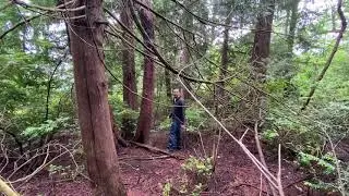 Finding Survey Points on our New Lot