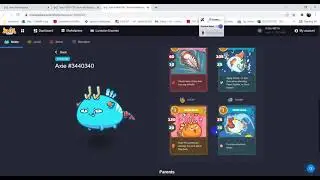 Paano bumuo ng team sa AXIE? (BUG BUG POCKY EXPERIMENT)