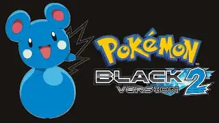 Pokemon Black 2 - Training Babies