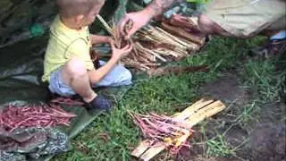 Skab Jr's 1 Stick Fire.wmv