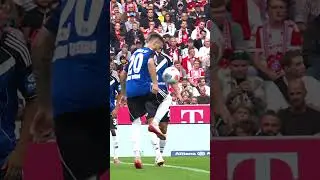 HSV: Anstoß-Fail! 