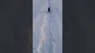 16 декабря 2023 г.