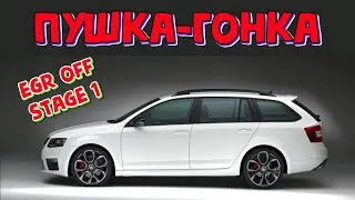 Как прошить Шкода Октавия А5 тюнинг и отключение ЕГР \\ Skoda Oktavia A5 1.9TDI  2008 г. EDC16U34