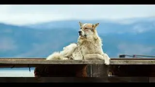 Фотоэкспедиция 