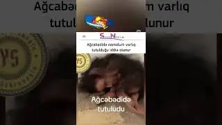 21 Ağustos 2024