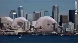 Тюлени прыгают