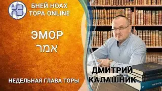 Недельная глава ЭМОР || Дмитрий Калашник || 5782