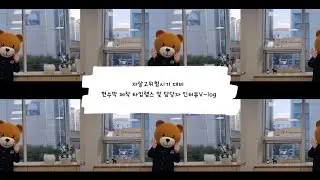 자살고위험시기 대비 현수막 제작 타임랩스 및 담당자 인터뷰 V-log
