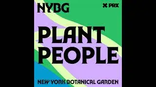 Native Plants