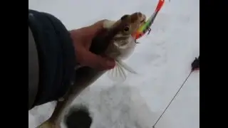 За судачком