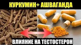 КУРКУМИН+ АШВАГАНДА. РЕЗУЛЬТАТЫ АНАЛИЗОВ
