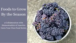 What Foods to Grow by Season