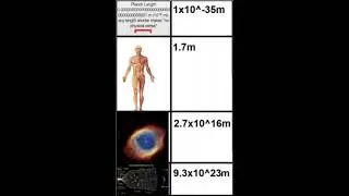 scale