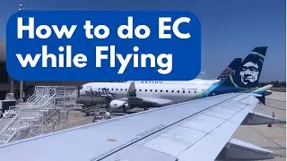How To Do ELIMINATION COMMUNICAITON WHILE FLYING AND TRAVELING.