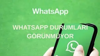WhatsApp Statuses Not Showing