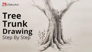 How To Draw Tree Trunk Step By Step with Pencil Shading, Drawing for Beginners