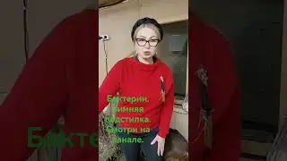 Бактерии.Зимняя подстилка.Смотри на канале.