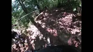 Wild turkey run at Powder  Ridge