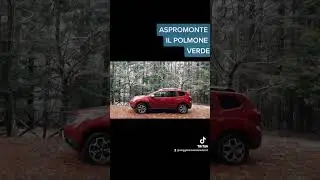 PARCO NAZIONALE DELL' ASPROMONTE POLMONE VERDE ...❤❤❤❤❤❤