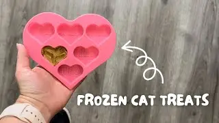 How To Make: FROZEN CAT TREATS!