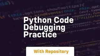 python code debugging practice
