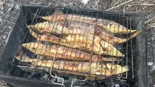 Стерлядь на мангале