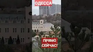 ОДЕССА❗️20.03.2023❗️ ПРЯМО СЕЙЧАС❗️ 