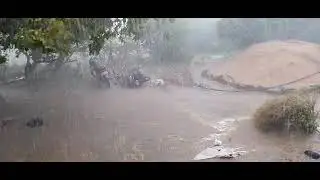 kamosmi varsad(2)