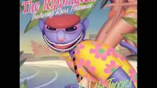 The Rippingtons - Club Paradiso