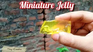 Miniature jelly| how to make miniature jelly| miniature cooking |Tiny cookz #26