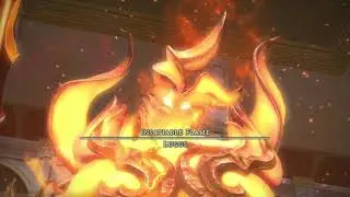 FF14 - The Grand Cosmos - Final Boss