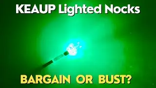 KEAUP BUDGET LIGHTED NOCKS: BARGAIN or BUST?