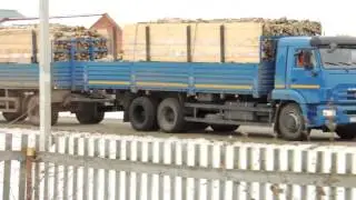 О жизни шоферской