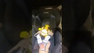 Гуляю с малым #shorts #shrek #glonti