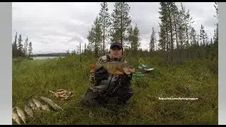 Окунь конец июля 2019