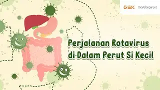 Perjalanan Rotavirus di Dalam Perut Si Kecil