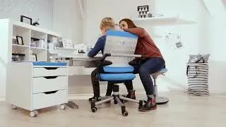 PAIDI Schreibtischstuhl mit Sitness-Gelenk – Aktives & ergonomisches Sitzen | Möbel Karmann