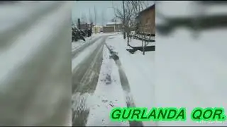 #Gurlan  Gurlan.