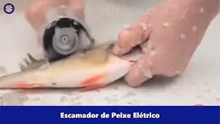 Escamador de Peixe Biporto